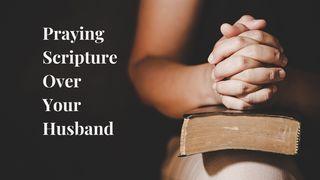 Praying Scripture Over Your Husband Proverbs 4:25-26 New King James Version