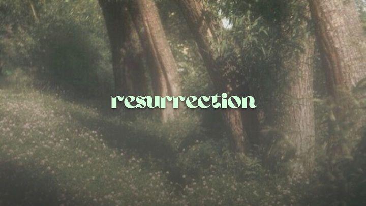 Resurrection!