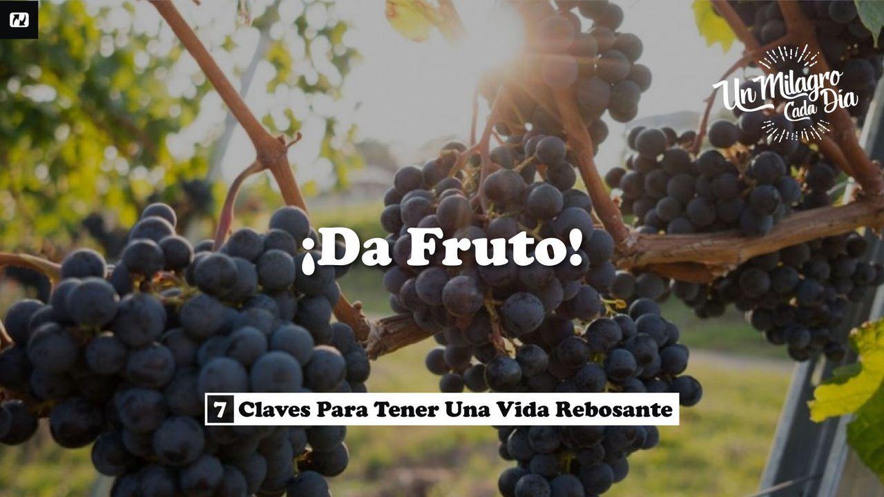 ¡Da fruto! 7 Claves para tener una vida rebosante