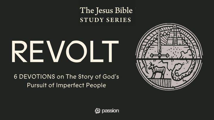 Revolt: The Story of God's Pursuit of Imperfect People
