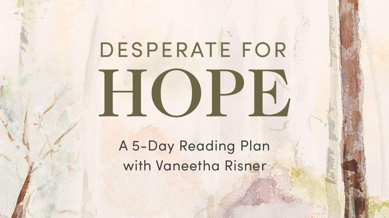 Desperate for Hope: Questions We Ask God in Suffering, Loss, and Longing