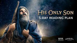 His Only Son Genesis 11:29-32 New Century Version