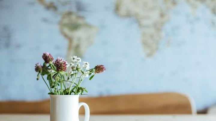 Daily Bible Reading Guide (Protestant)