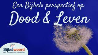 Een Bijbels perspectief op dood & leven От Иоанна 11:25-26 Новый русский перевод