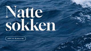 Geloven is natte sokken krijgen Het evangelie naar Matteüs 14:25-32 NBG-vertaling 1951