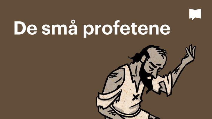 BibleProject | De små profetene