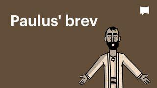 BibleProject | Paulus' brev