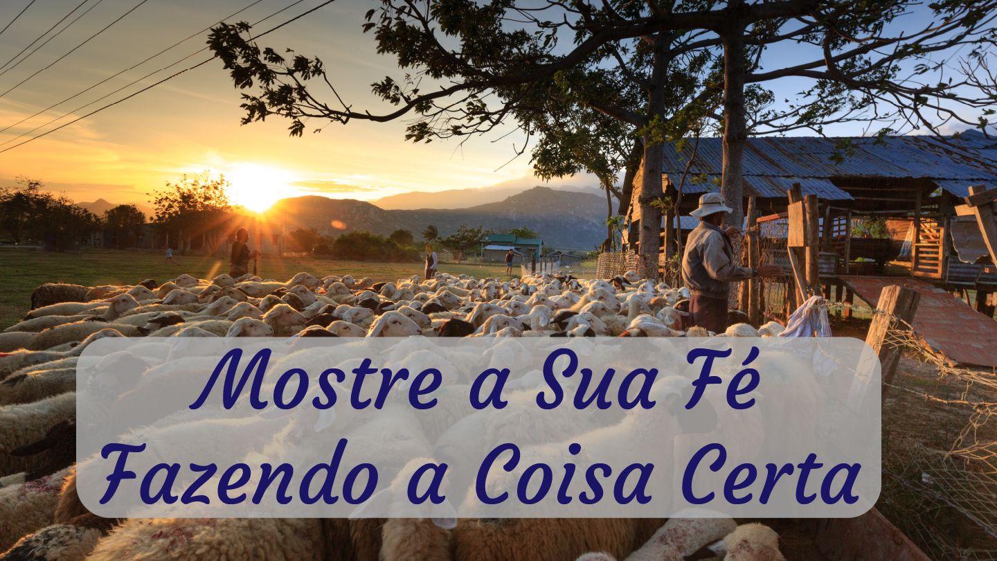 Mostre a Sua Fé Fazendo a Coisa Certa Hebreus 11:7-8 Nova Versão Internacional - Português