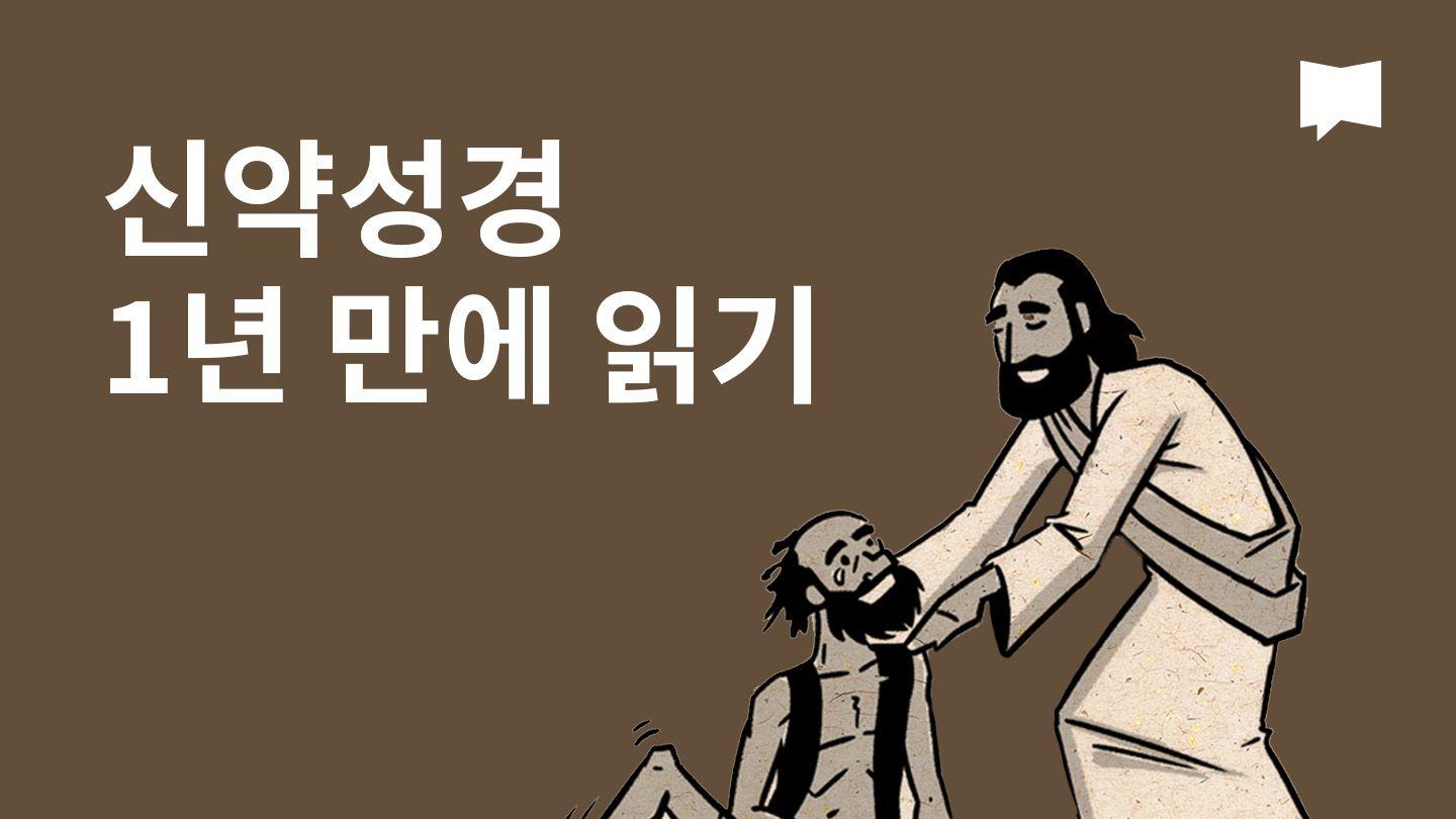 BibleProject | 신약성경 1년 만에 읽기
