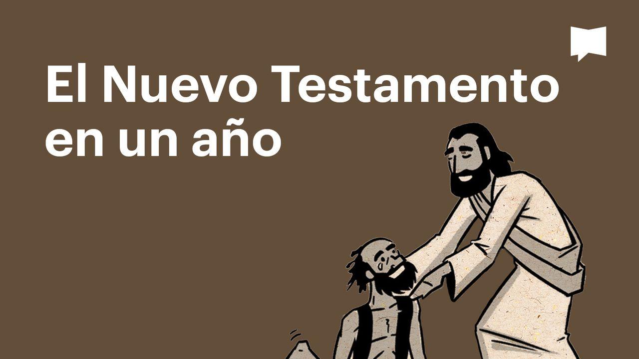 Proyecto Biblia | El Nuevo Testamento en un año