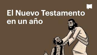 BibleProject | El Nuevo Testamento en un año