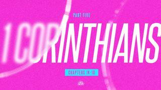 1 Corinthians 14-16 哥林多前書 14:17 新標點和合本, 神版