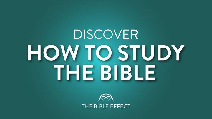 How to Study the Bible Inductively