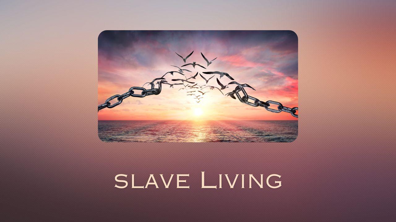 Slave Living