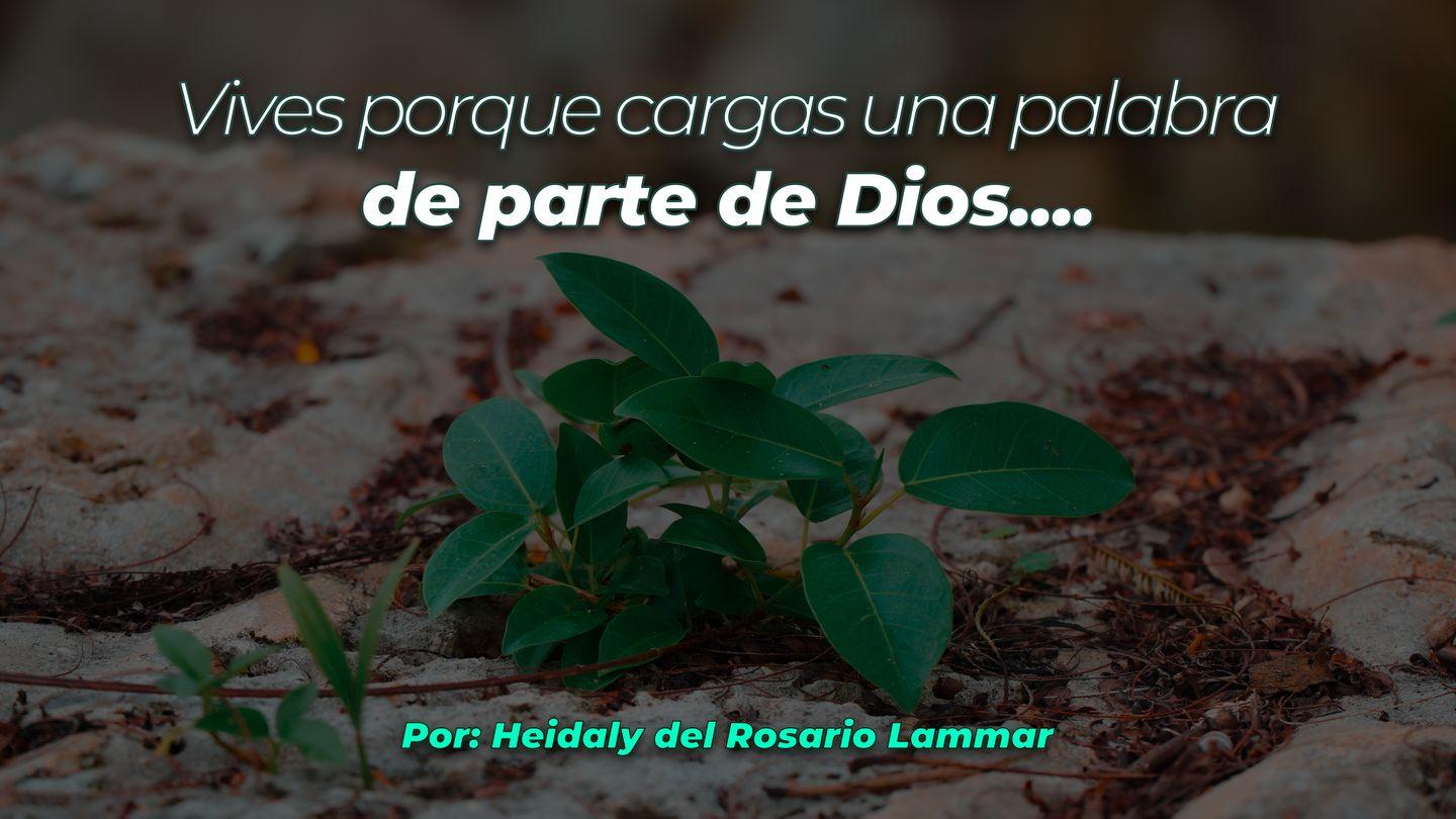Vivo Por Una Palabra Romanos 4:20-25 Reina Valera Contemporánea