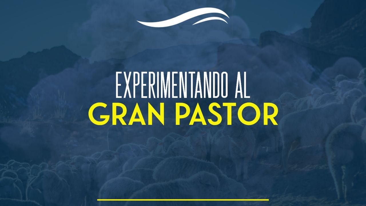 EXPERIMENTANDO AL GRAN PASTOR