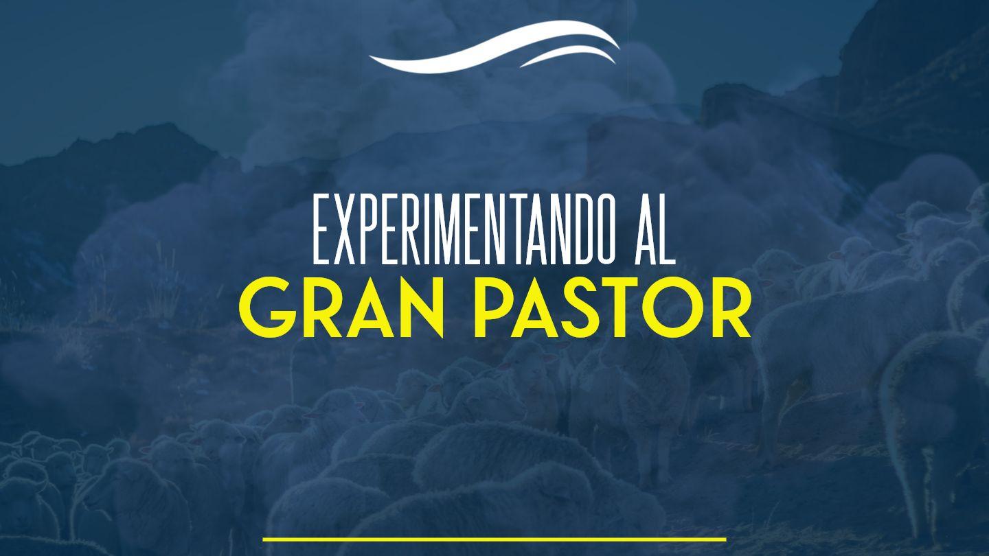 EXPERIMENTANDO AL GRAN PASTOR Salmos 23:3 Biblia Reina Valera 1960