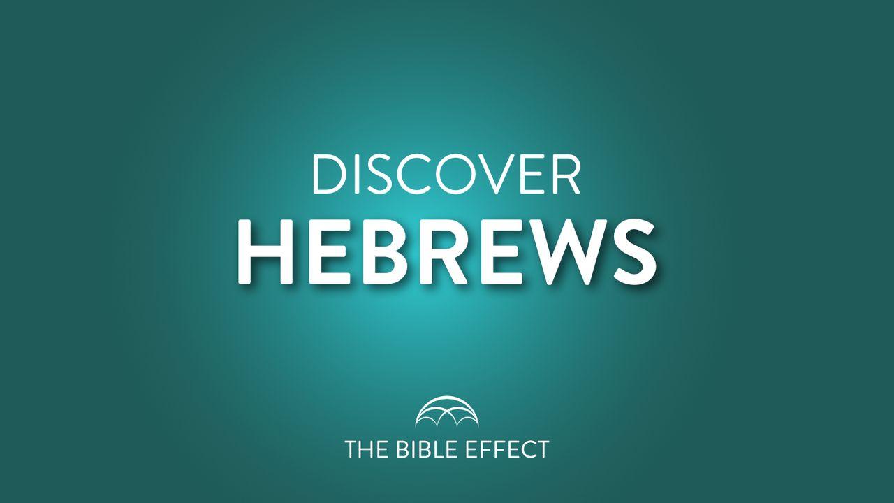 Hebrews Bible Study