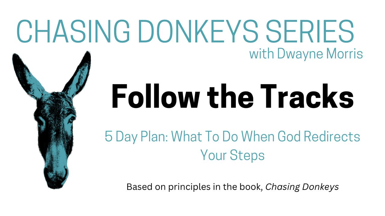 Chasing Donkeys Series: Follow the Tracks 