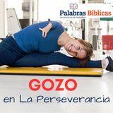 Gozo en La Perseverancia