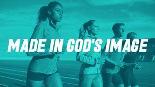 Made in God's Image Genesis 2:1-18 New Living Translation