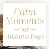 Calm Moments for Anxious Days by Max Lucado