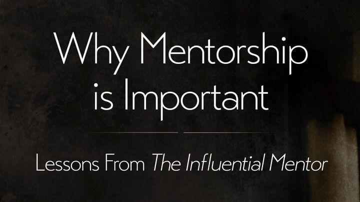 Why Mentorship Is Important: Lessons From the Influential Mentor