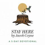 Stay Here: God's Plan to Restore Your Mental Health