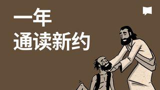 BibleProject | 一年通读新约