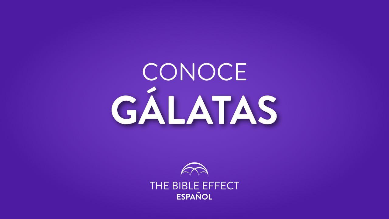 CONOCE Gálatas