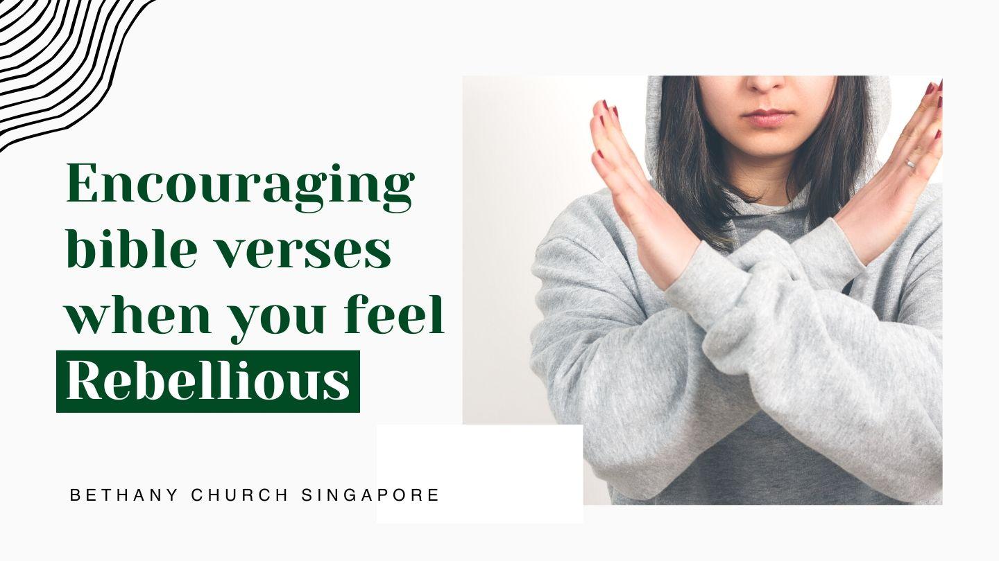 ENCOURAGING BIBLE VERSES WHEN YOU FEEL REBELLIOUS Hebrews 13:17-21 The Message