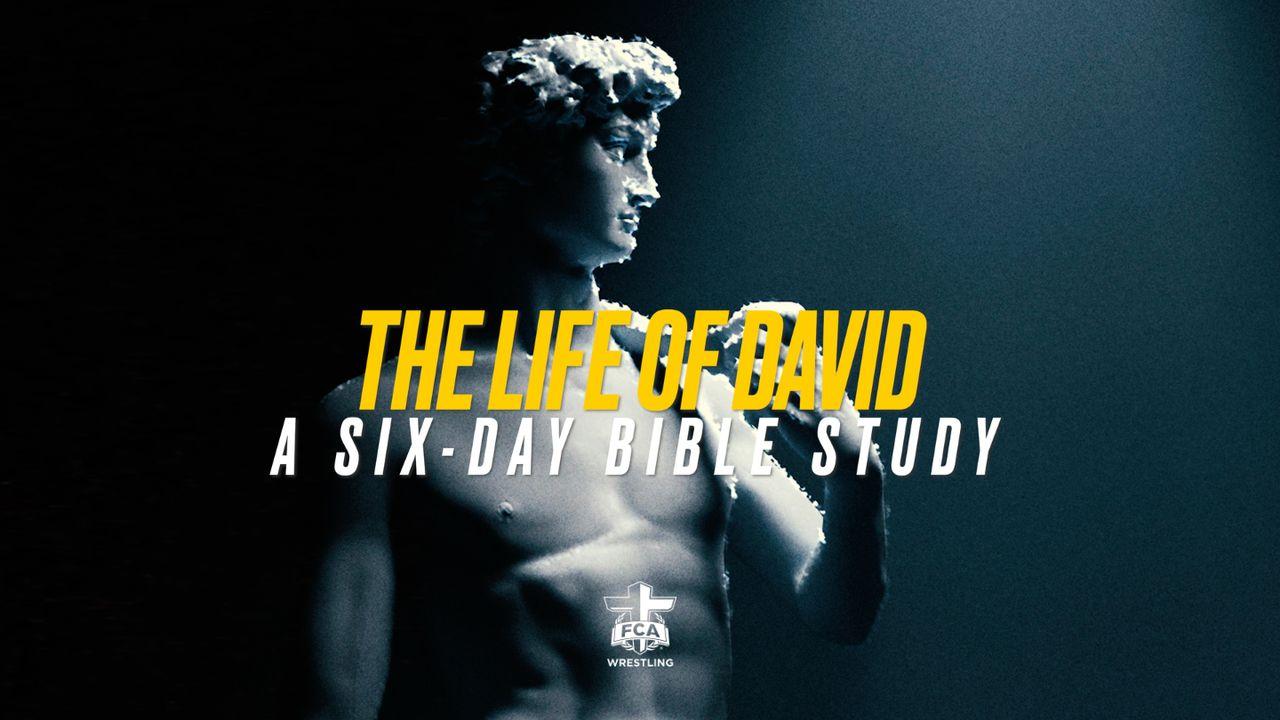 FCA Wrestling: The Life of David