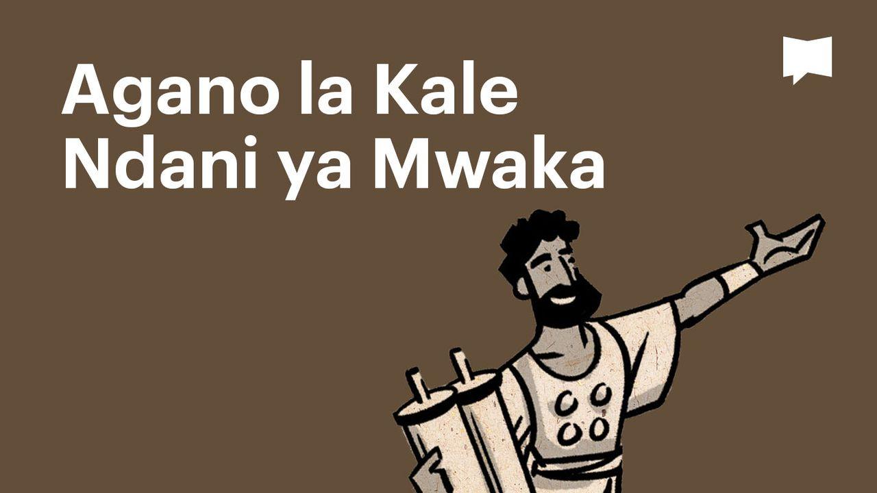 BibleProject | Agano la Kale Ndani ya Mwaka