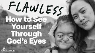 Flawless: How to See Yourself Through God’s Eyes 