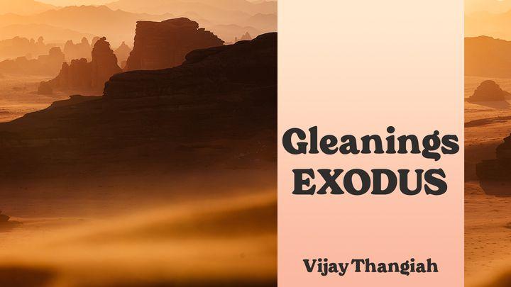 GLEANINGS - Exodus