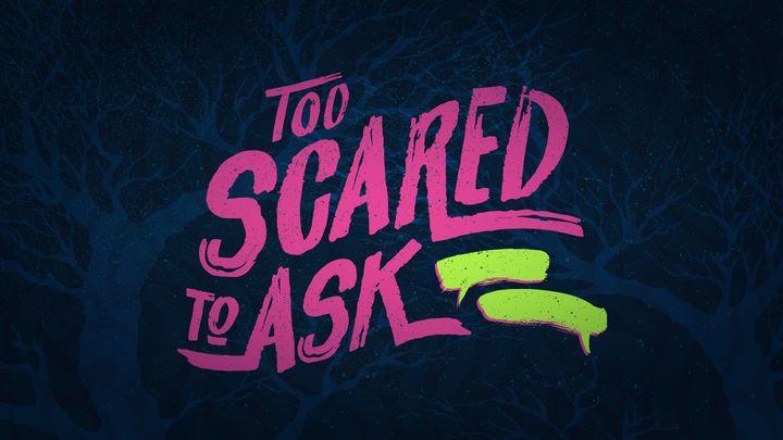 Too Scared to Ask - Real Questions & Real Answer