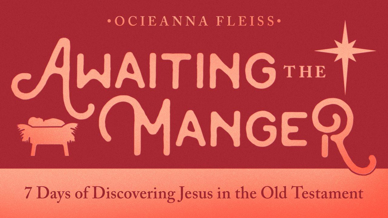 Awaiting the Manger: 7 Days of Discovering Jesus in the Old Testament