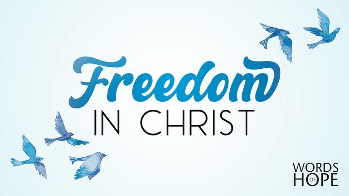 Freedom in Christ