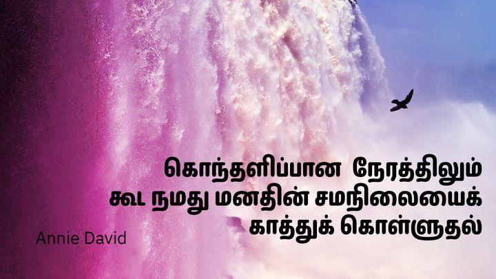 கொந்தளிப்பான  நேரத்திலும் கூட நமது மனதின் சமநிலையைக் காத்துக் கொள்ளுதல் 