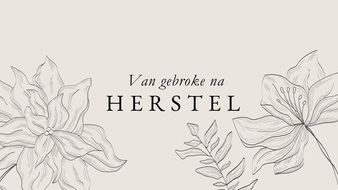 Van Gebroke Na Herstel - Die Boek Nehemia