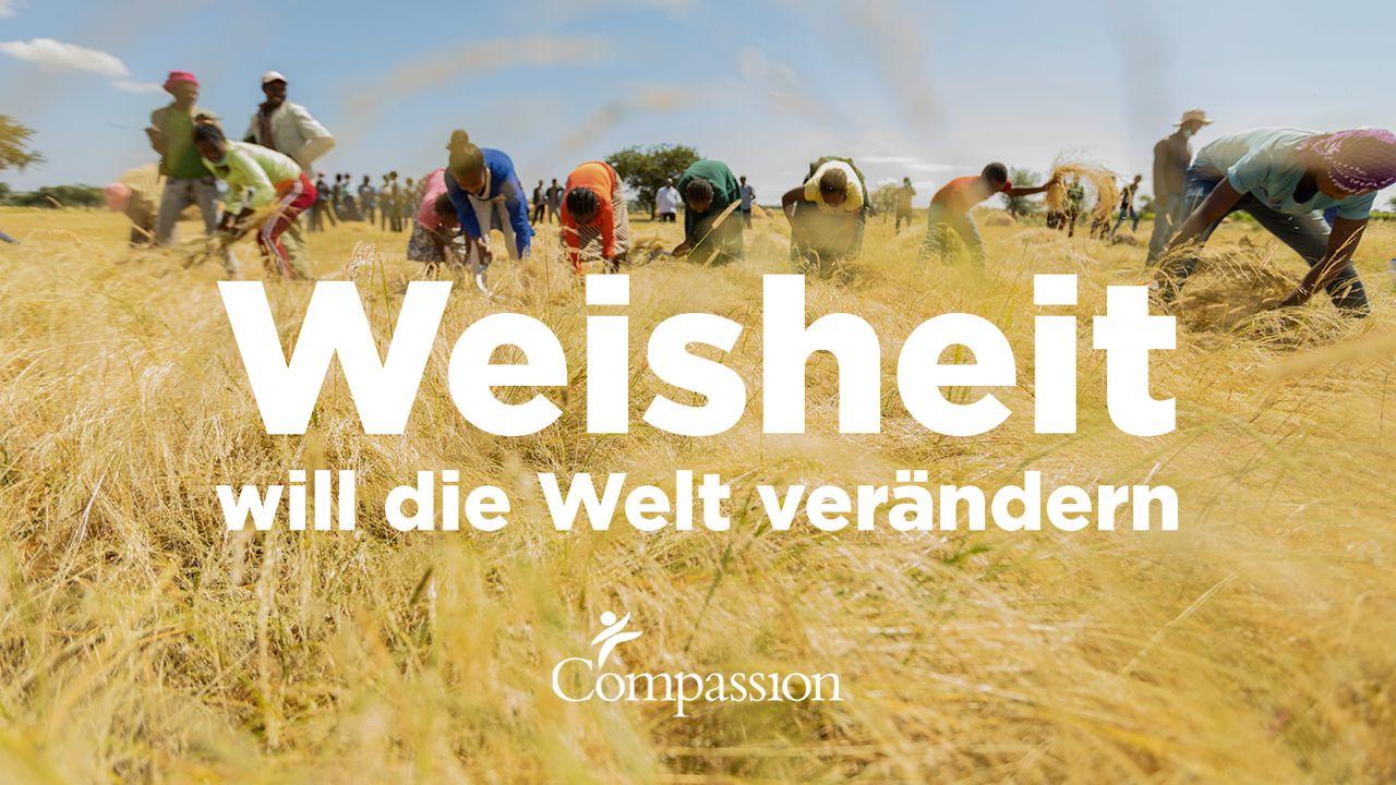 Weisheit will die Welt verändern