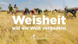 Weisheit will die Welt verändern Genesis 1:26-27 Antiguo Testamento Quechua Wanca