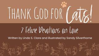 Thank God for Cats!: 7 Feline Devotions on Love 历代志上 28:9-20 新标点和合本, 神版