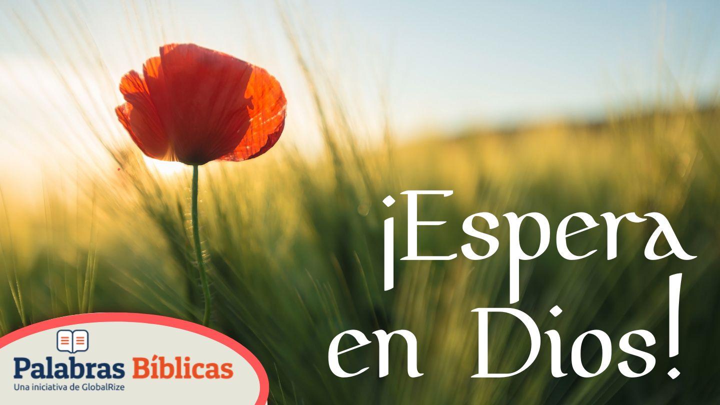 ¡Espera en Dios! Lamentaciones 3:19-26 Biblia Reina Valera 1960