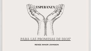 ESPERANZA... PARA LAS PROMESAS DE DIOS GÉNESIS 17:19 La Biblia Hispanoamericana (Traducción Interconfesional, versión hispanoamericana)