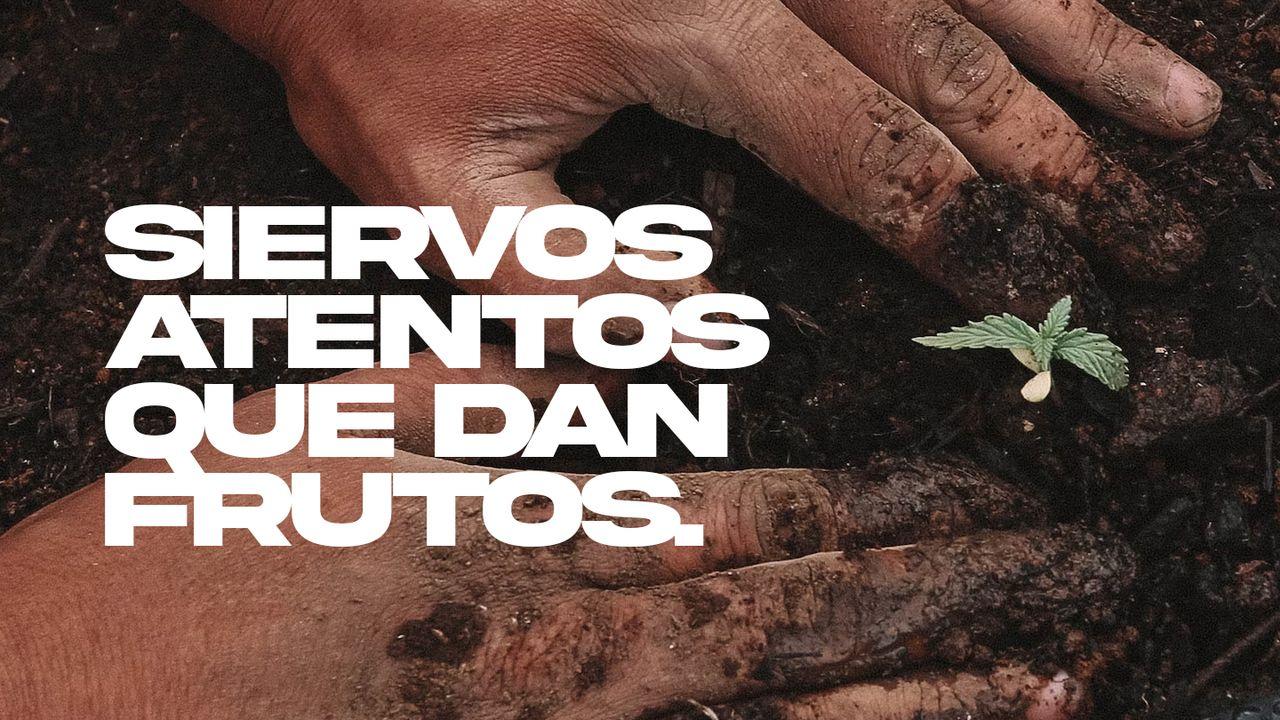 Siervos atentos que dan frutos