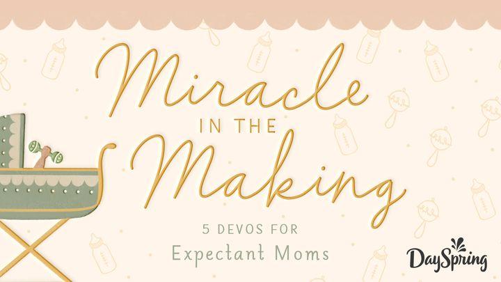 Miracle in the Making: 5 Devotions for Expectant Moms