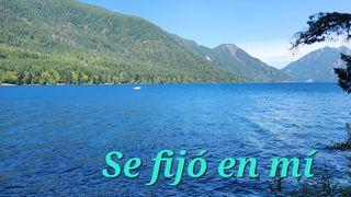 Se Fijó en Mí Genesis 1:1 World English Bible, American English Edition, without Strong's Numbers