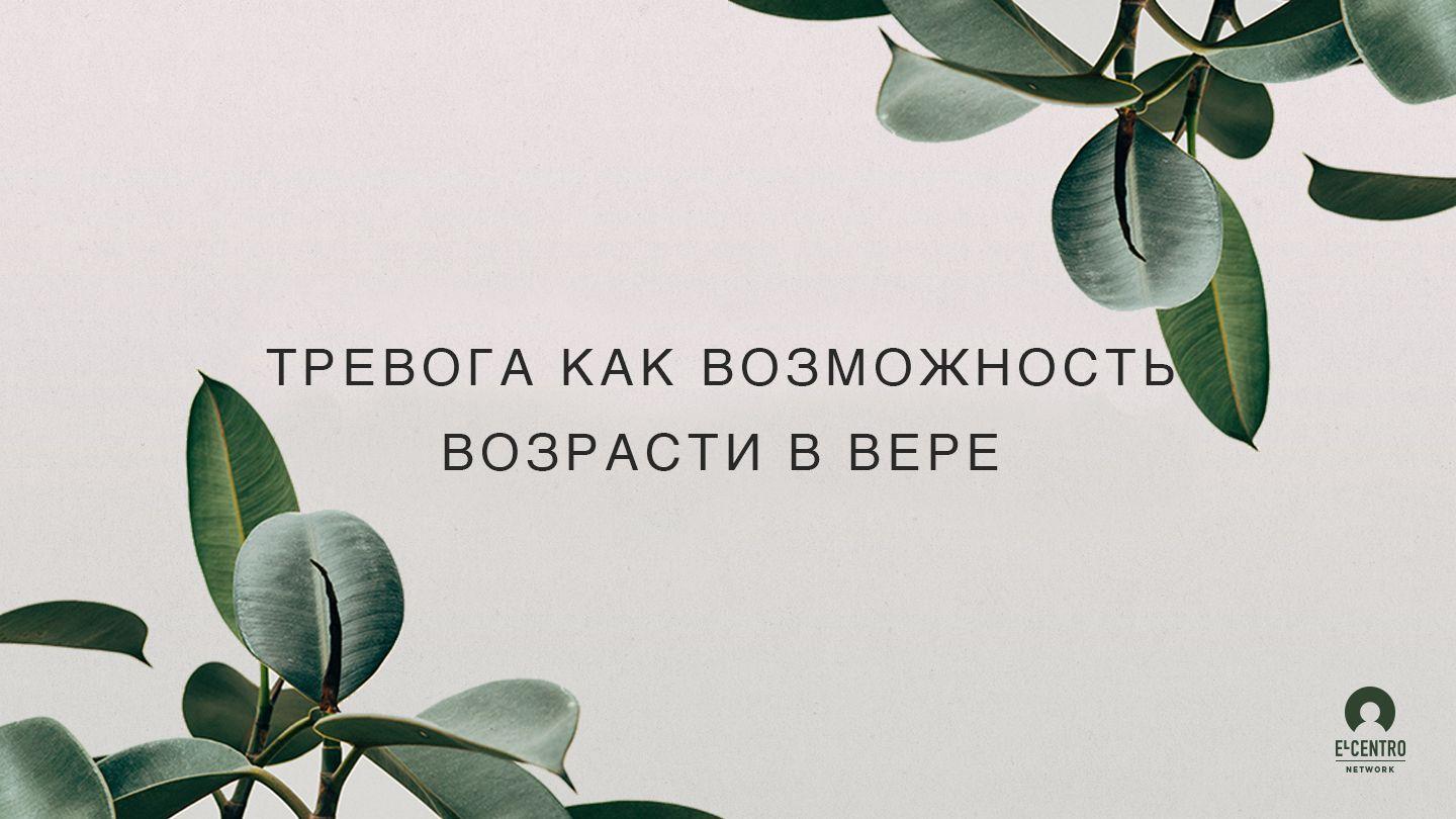 Тревога как возможность возрасти в вере Послание к Евреям 6:19-20 Синодальный перевод