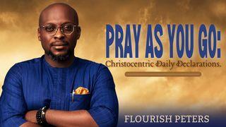 Pray as You Go - Daily Christocentric Declarations Psalms 65:10-13 New American Standard Bible - NASB 1995